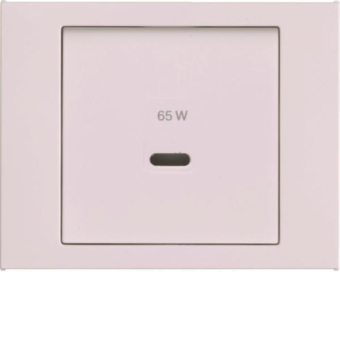 Berker Z-ST f.USB K.x pw gl     48607009 