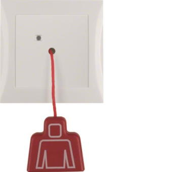 Berker Zugtaster m.Rahmen       52028989 