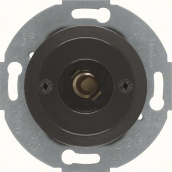 BER S1930 Drucktaster und Licht-  510401 