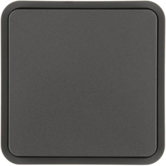 Berker Wippe 1fach f.W.1      6130763545 