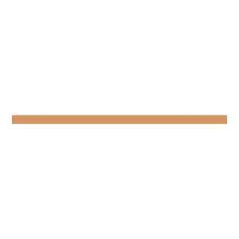 Striebel Cu-Schiene 12x5mm       ZXM1040 