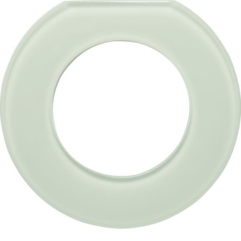 Berker Glasendrahmen 1fach Serie  109219 
