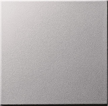 GIRA 091626 Wippe Tastschalter System 55 