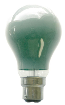 SUH Glühlampe 230V 25W 60x105mm    40367 