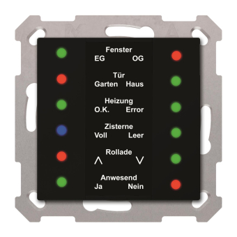 MDT SCN-LED5506.01 LED Anzeige 55mm 