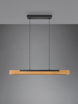 TRIO Pendelleuchte KERALA 25W  341610132 