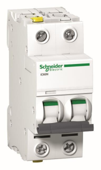 Schneider LS-Schalter iC60N 2p  A9F03216 