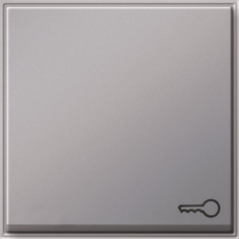 GIRA 028765 Wippe Symbol Tür TX_44 WG UP 