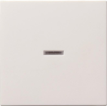 GIRA 029003 Wippe Kontrollfenster 