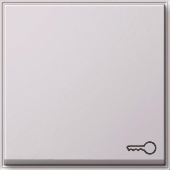 GIRA 028766 Wippe Symbol Tür TX_44 WG UP 