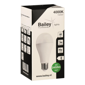 BAIL Ecobasic LED A65 E27 240V    142597 