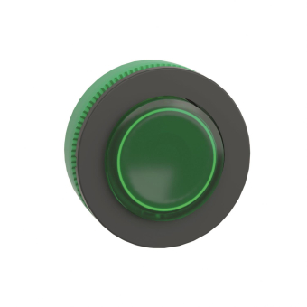 Schneider Leuchtdrucktaster     ZB5FW133 