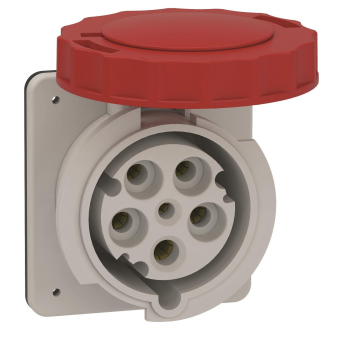 Schneider Anbausteckdose gerade    81683 