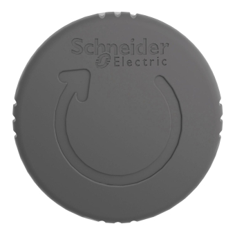 GS PILZDRUCKTASTER RAST D=40     ZB4BS52 