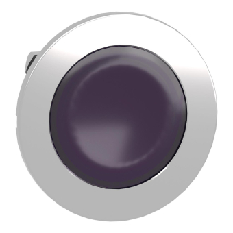 Schneider Frontelement          ZB4FV063 