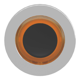 Schneider Frontelement          ZB4FW953 