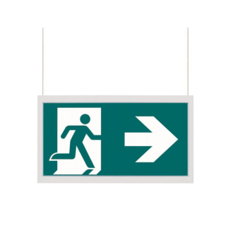 CEAG LED-Piktogrammscheibe   40071354540 