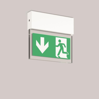 RZB Halyxx,Ws               671742.002.1 