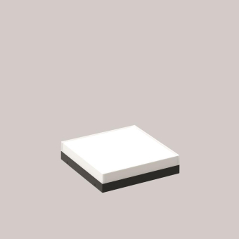 RZB Abdeckung                982675.0131 