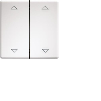 Eltako DW-FT55-@ Doppelwippe lasergrav. 