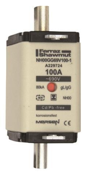 Mersen Sicherungseinsatz  NH00GG69V100-1 