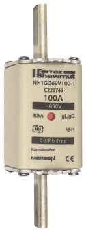 Mersen 1G163.000000 NH1 100A gG 690V 