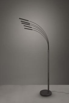 Trio LED-Stehleuchte REED, 5x  R41031532 