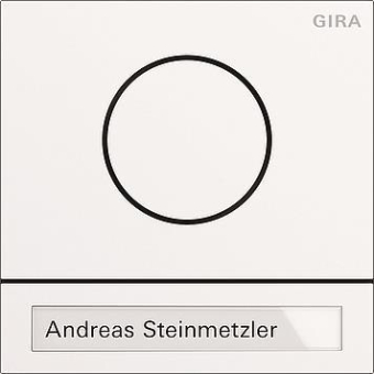GIRA 5565902 Türstationsmodul System 106 