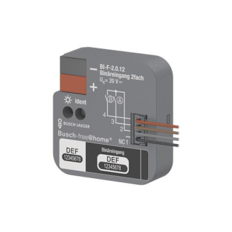 BJ Binäreingang 2fach UP     BI-F-2.0.12 