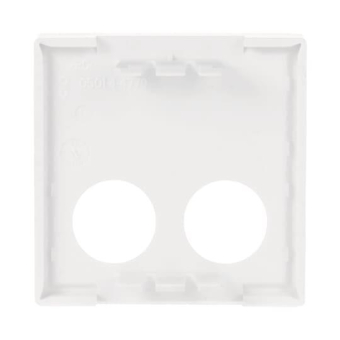 BJ Zentralscheibe          2548-021 G-84 