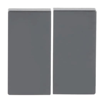 BJ FoH-Bedienelement 2fach   6736 FoH-81 
