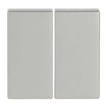 BJ FoH-Bedienelement 2fach  6736 FoH-866 
