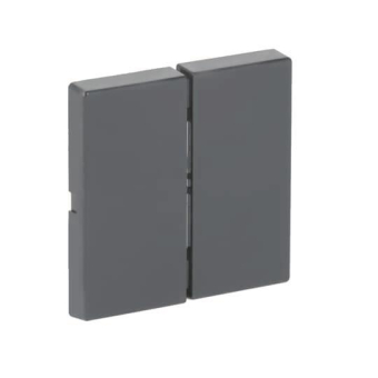 BJ FoH-Bedienelement 2fach   6736 FoH-81 