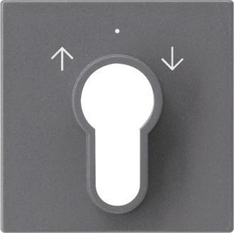 GIRA 066428 Abdeckung Schlüsselschalter 