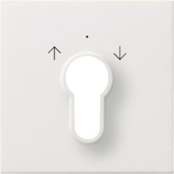 GIRA 0664112 Abdeckung Schlüsselschalter 