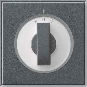 GIRA 066667 Abdeckung Knebel Zeitsch.+ 