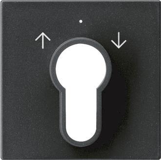 GIRA 0664005 Abdeckung Schlüsselschalter 
