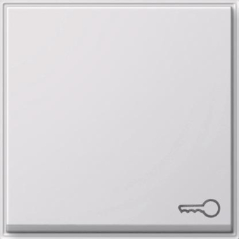 GIRA 028766 Wippe Symbol Tür TX_44 WG UP 