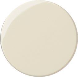 GIRA 091001 Dimmerknopf System 55 