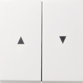 GIRA 0294112 Wippe 2fach Pfeil 