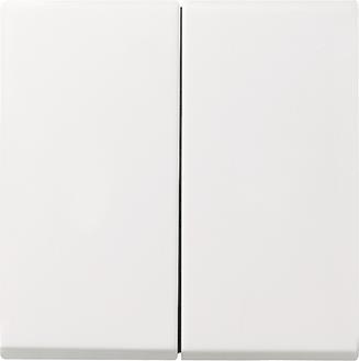 GIRA 029503 Wippe 2fach System 55 