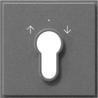 GIRA 066467 Abdeckung Schlüsselschalter 