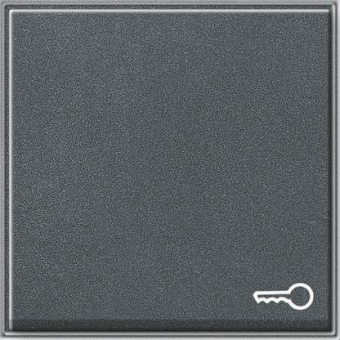 GIRA 028767 Wippe Symbol Tür TX_44 WG UP 