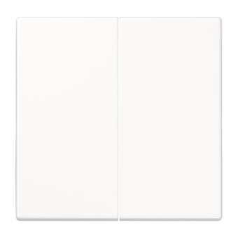 Jung Wippe f.Serientaster F10  SPLS102WW 