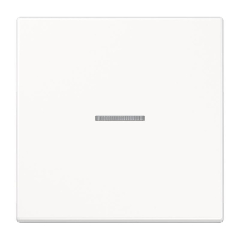 Jung Wippe f.Taster F10     SPLS101KO5WW 