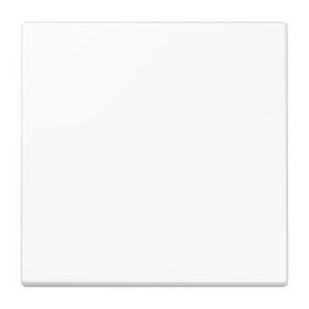 Jung Wippe f.Taster F10        SPLS101WW 