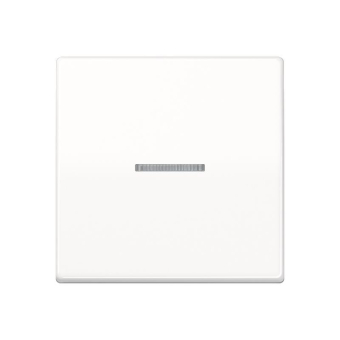 Jung Wippe                  SPAS591KO5WW 