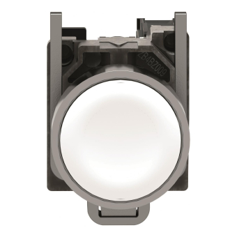 Schneider Drucktaster,       XB4BACUST01 