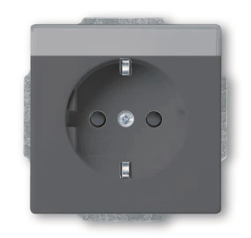 BJ SCHUKO Steckdosen Einsatz 20 EUCNB-81 