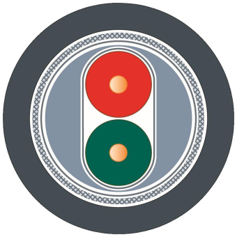 SIEM Simatic Net,           6XV18300GH10 